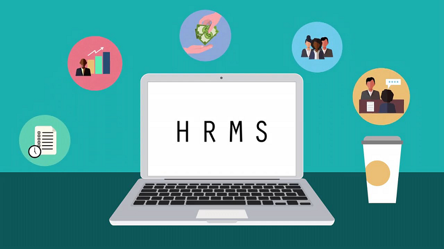 How Can Human Resource Management Software Improve Organizational Workflow?